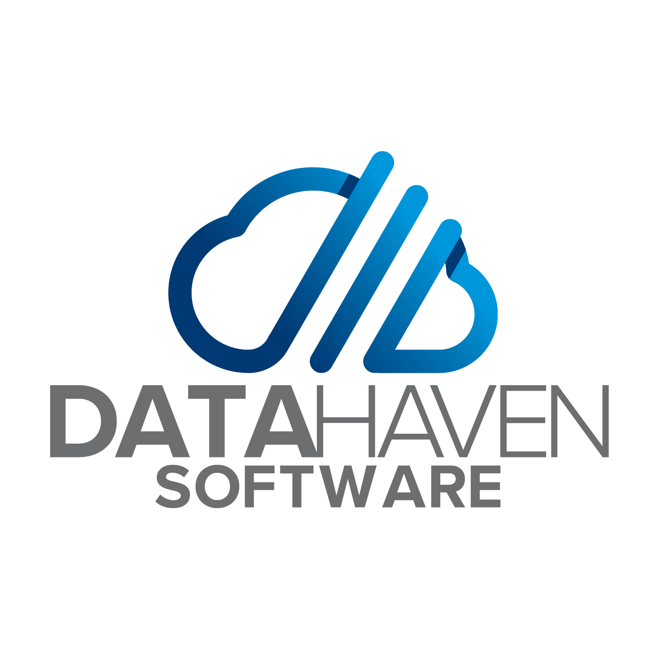 DataHaven Software Inc. Logo